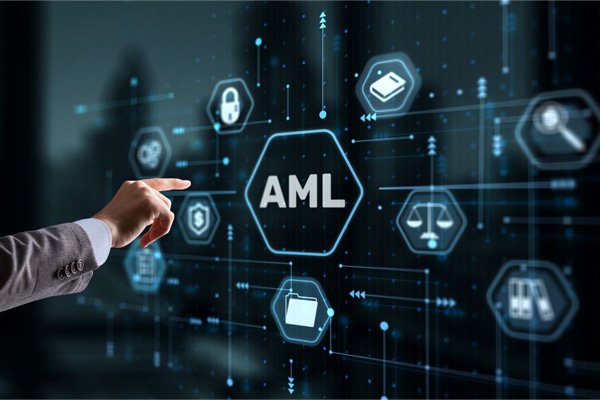  AML Inspection  