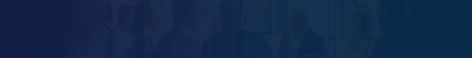 Business & Financial Consulting services
